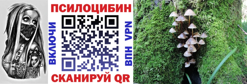 Купить закладки  Заозёрный  Псилоцибиновые грибы MAGIC MUSHROOMS 